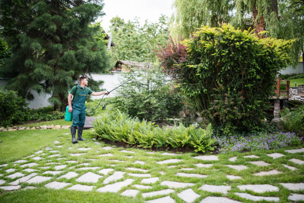 Best Affordable Pest Control Services  in Sheridan, WY