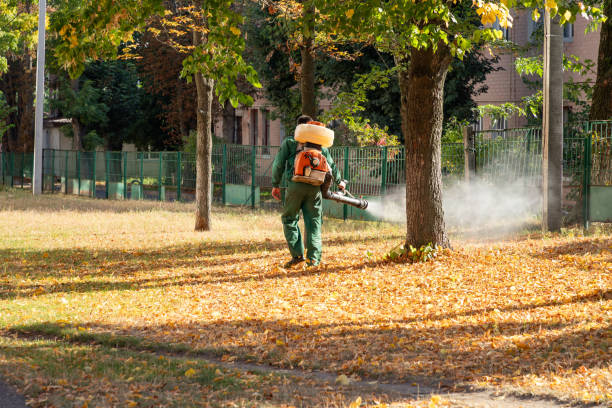 Insect Control in Sheridan, WY